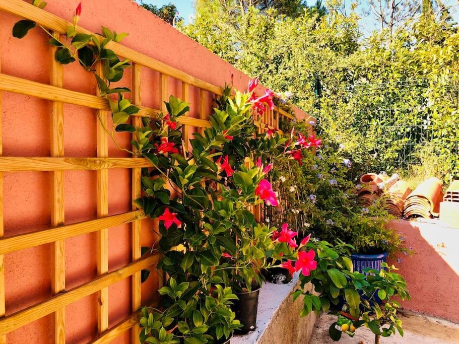 Moderne Mini Maison Lezignan-Corbieres Luaran gambar