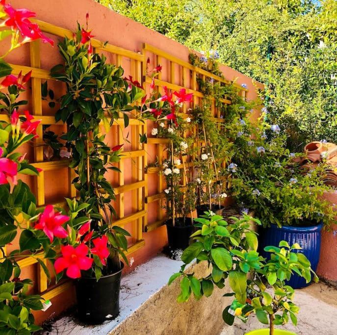 Moderne Mini Maison Lezignan-Corbieres Luaran gambar