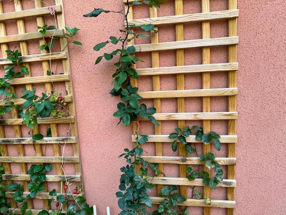 Moderne Mini Maison Lezignan-Corbieres Luaran gambar
